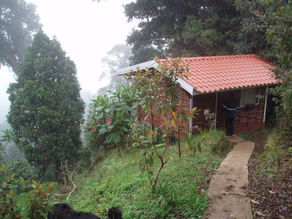 Paraiso Quetzal Lodge Tres de Junio エクステリア 写真