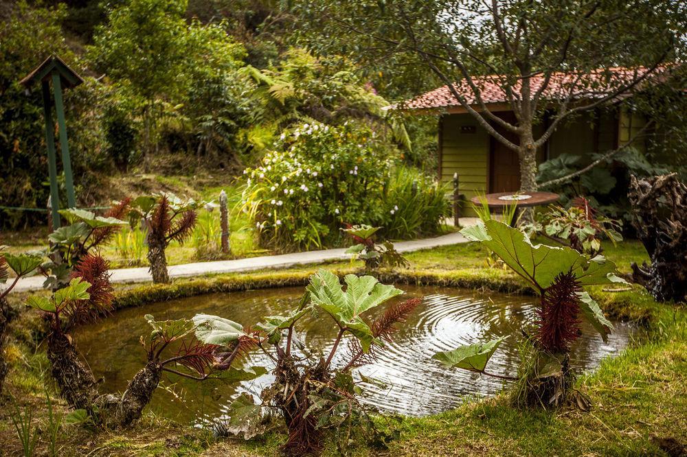 Paraiso Quetzal Lodge Tres de Junio エクステリア 写真