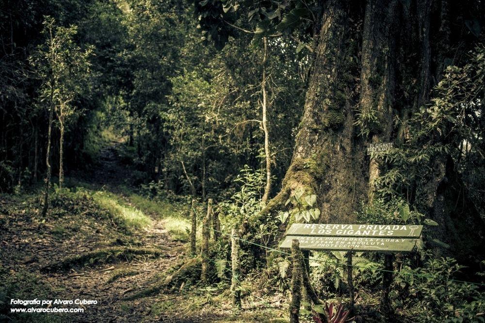 Paraiso Quetzal Lodge Tres de Junio エクステリア 写真