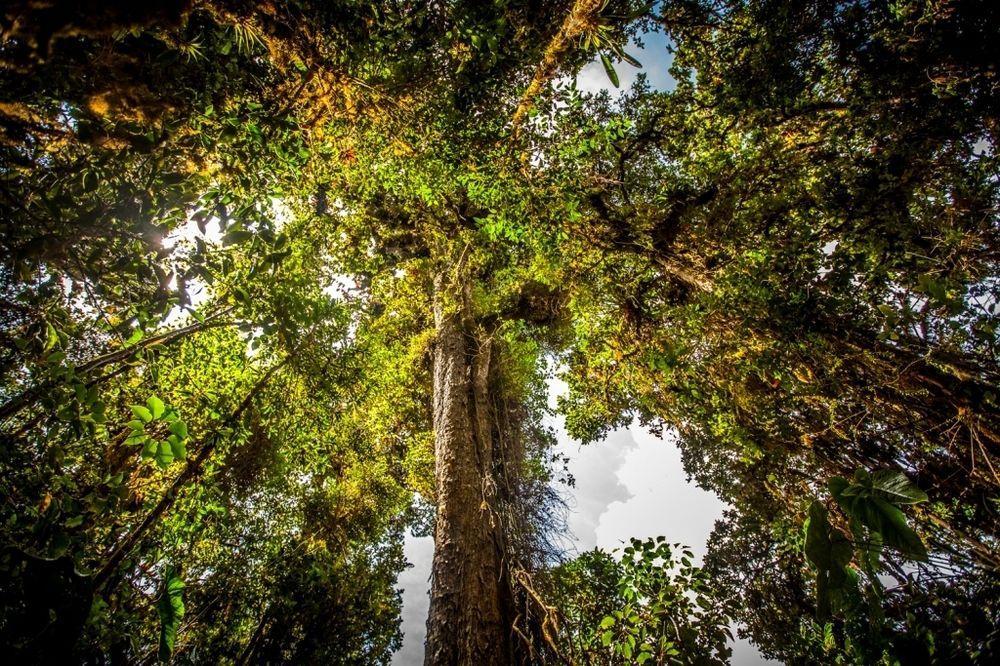 Paraiso Quetzal Lodge Tres de Junio エクステリア 写真