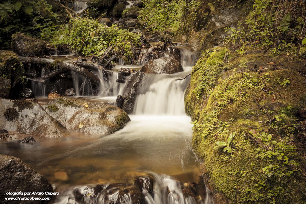 Paraiso Quetzal Lodge Tres de Junio エクステリア 写真