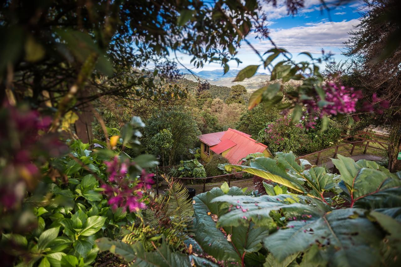 Paraiso Quetzal Lodge Tres de Junio エクステリア 写真