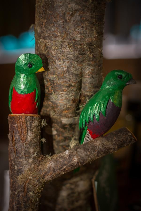 Paraiso Quetzal Lodge Tres de Junio エクステリア 写真