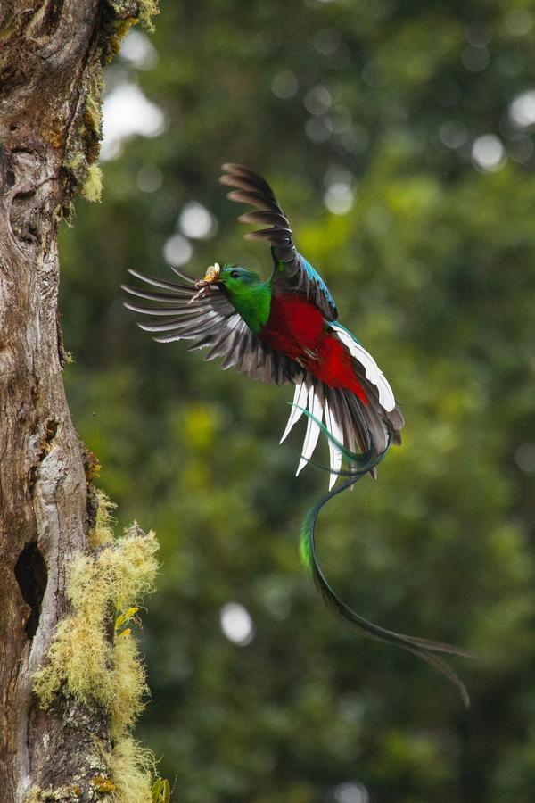 Paraiso Quetzal Lodge Tres de Junio エクステリア 写真
