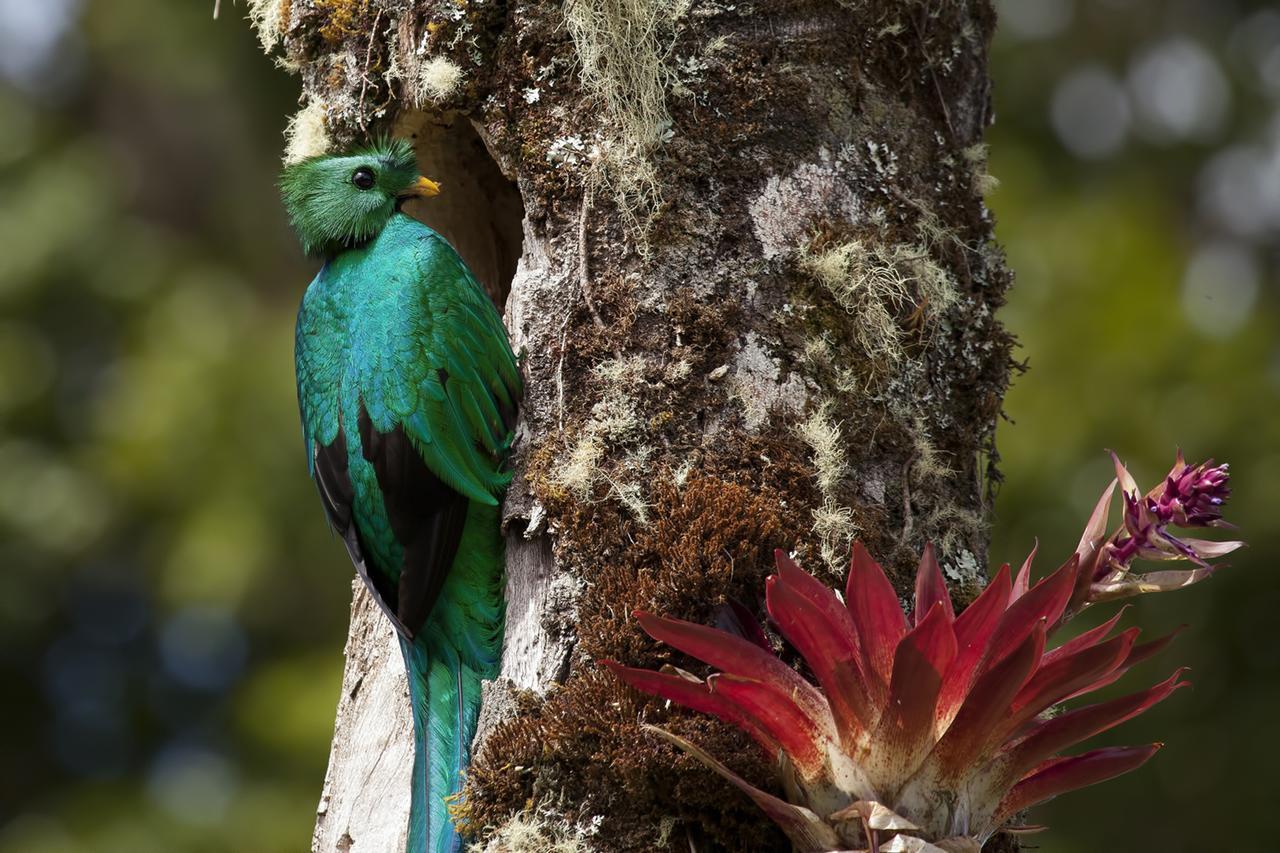 Paraiso Quetzal Lodge Tres de Junio エクステリア 写真