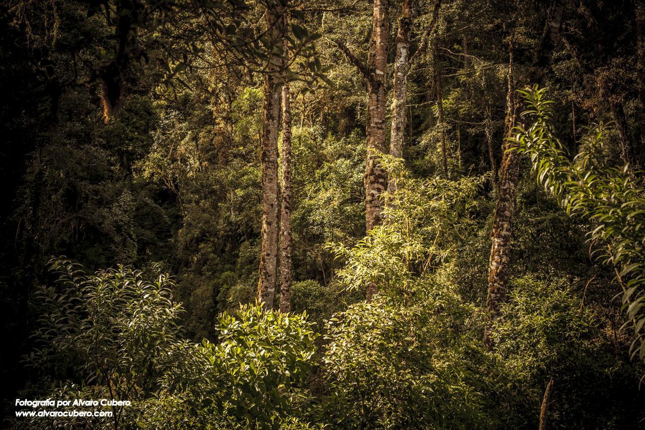 Paraiso Quetzal Lodge Tres de Junio エクステリア 写真