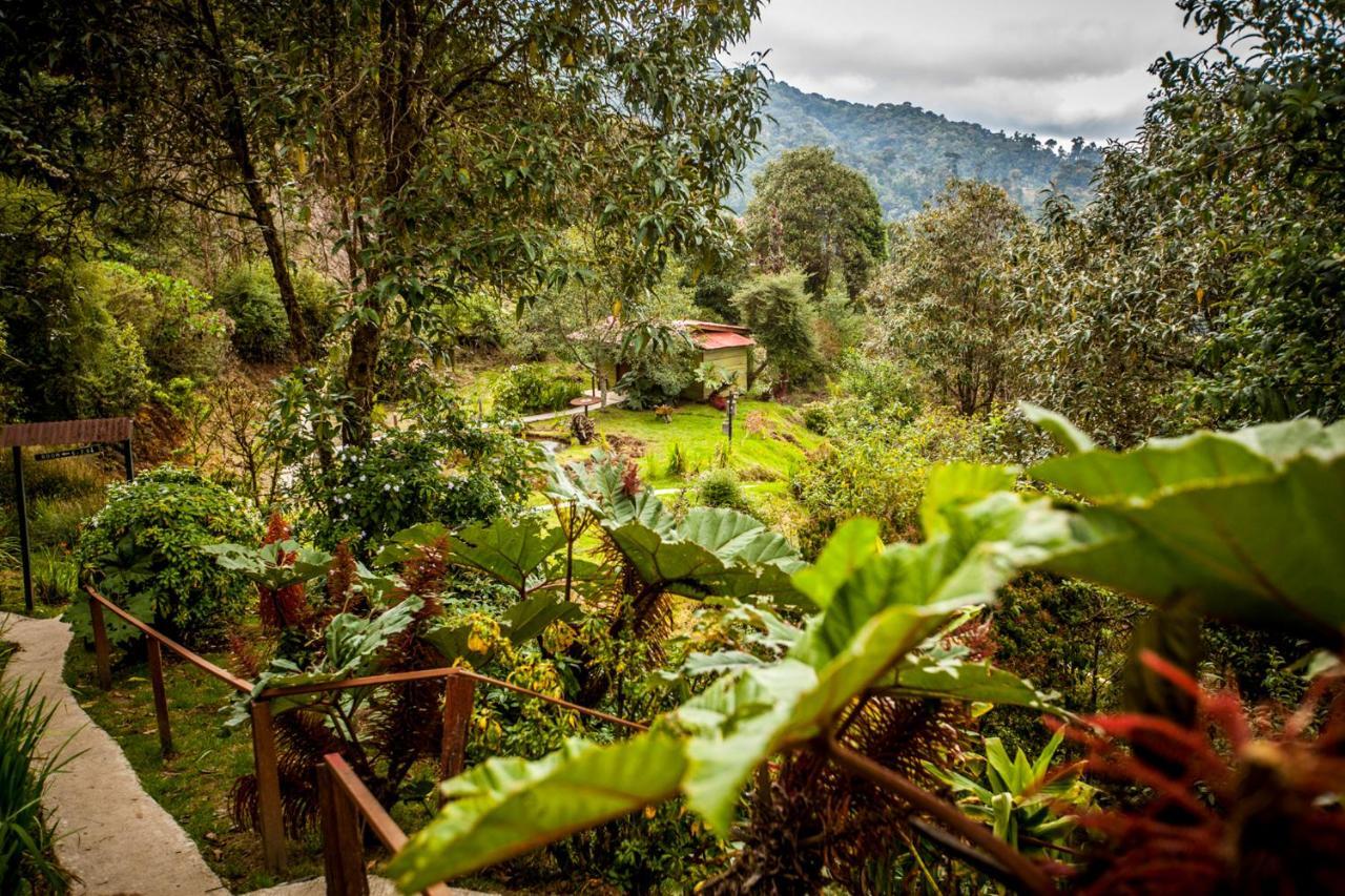 Paraiso Quetzal Lodge Tres de Junio エクステリア 写真